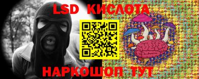ПСИЛОЦИБИНОВЫЕ ГРИБЫ Брянск