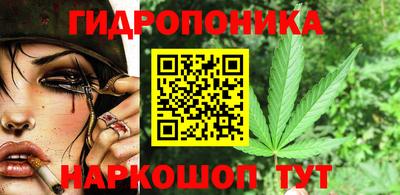 spice Боровичи