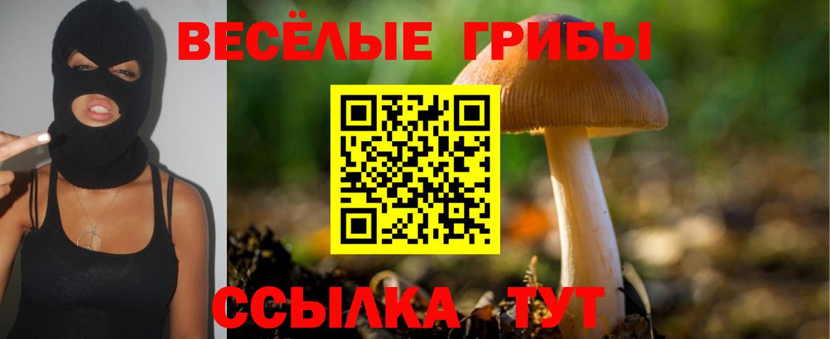Псилоцибиновые грибы MAGIC MUSHROOMS  Галлюциногенные грибы Psilocybe  Вход с VPN  Белогорск 